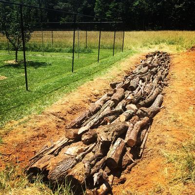 paul wheaton water harvesting micheal judd